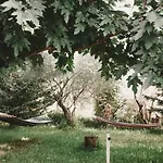 Aventora * ليغيا